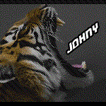 Аватар для Johny
